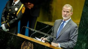 El Rei implora a Israel davant l’ONU que «aturi ja aquesta massacre» a Gaza