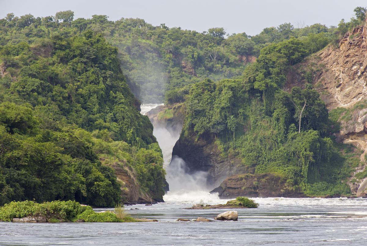 El Parque Nacional Murchison Falls, fundado en 1952 y situado al noroeste de Uganda, es el área protegida más grande del país y alberga las cataratas más potentes del mundo