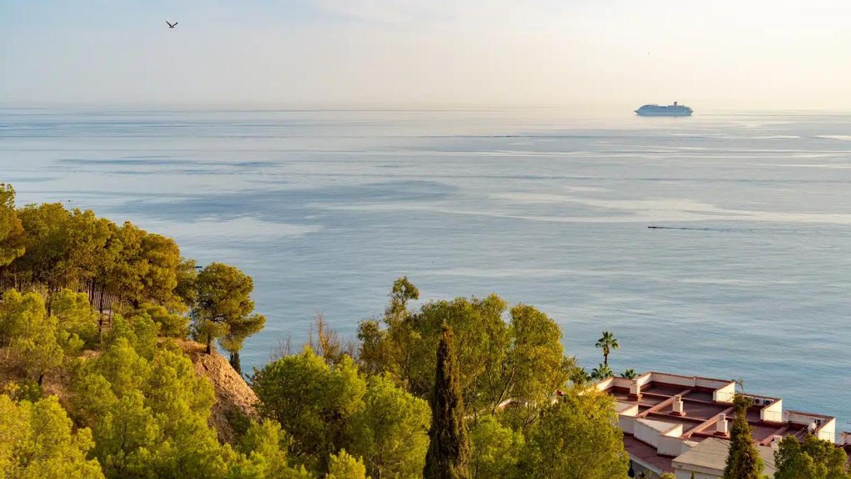 El parque forestal de Málaga repleto de ardillas, erizos y camaleones con miradores al mar