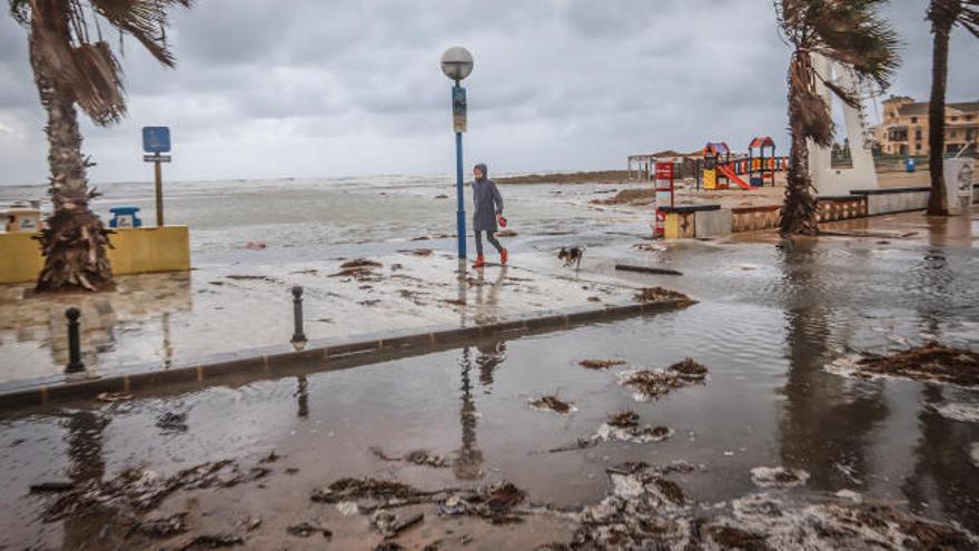 Las playas de la Vega Baja sufren de nuevo las consecuencias de la gota fría