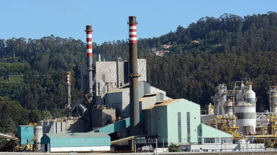 Fábrica de Ence en Lourizán, una de las tres opciones para la planta de biomasa. // R. Vázquez