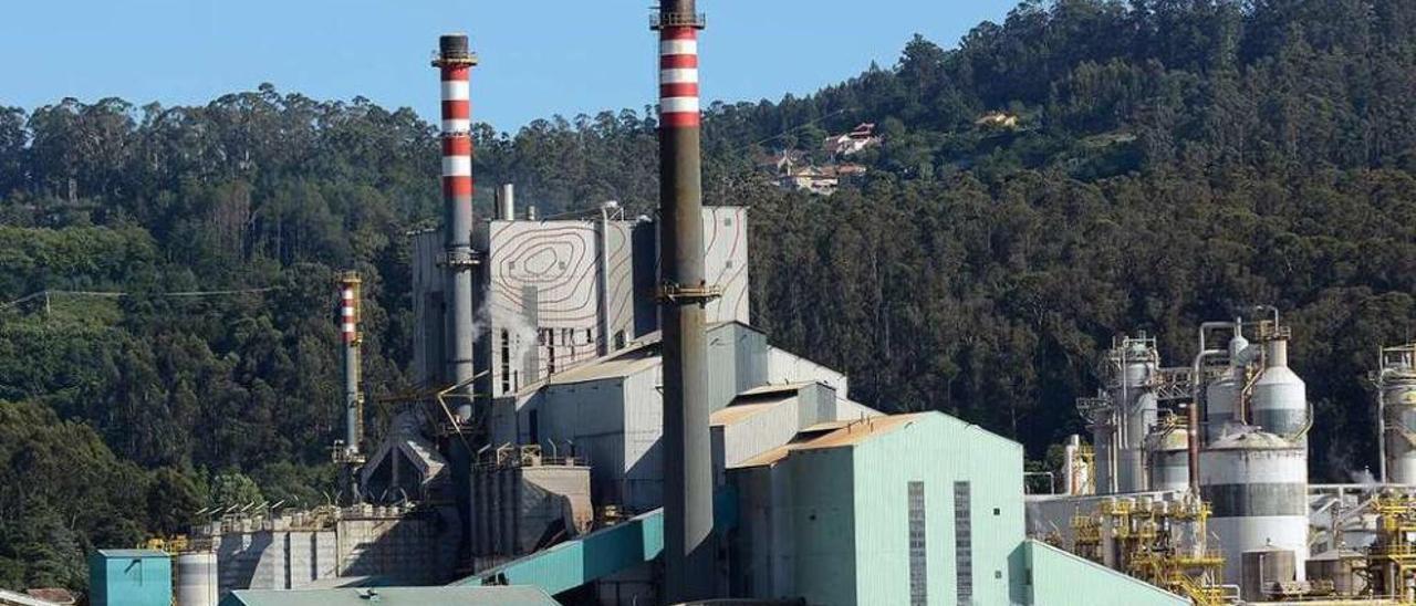 Fábrica de Ence en Lourizán, una de las tres opciones para la planta de biomasa. // R. Vázquez
