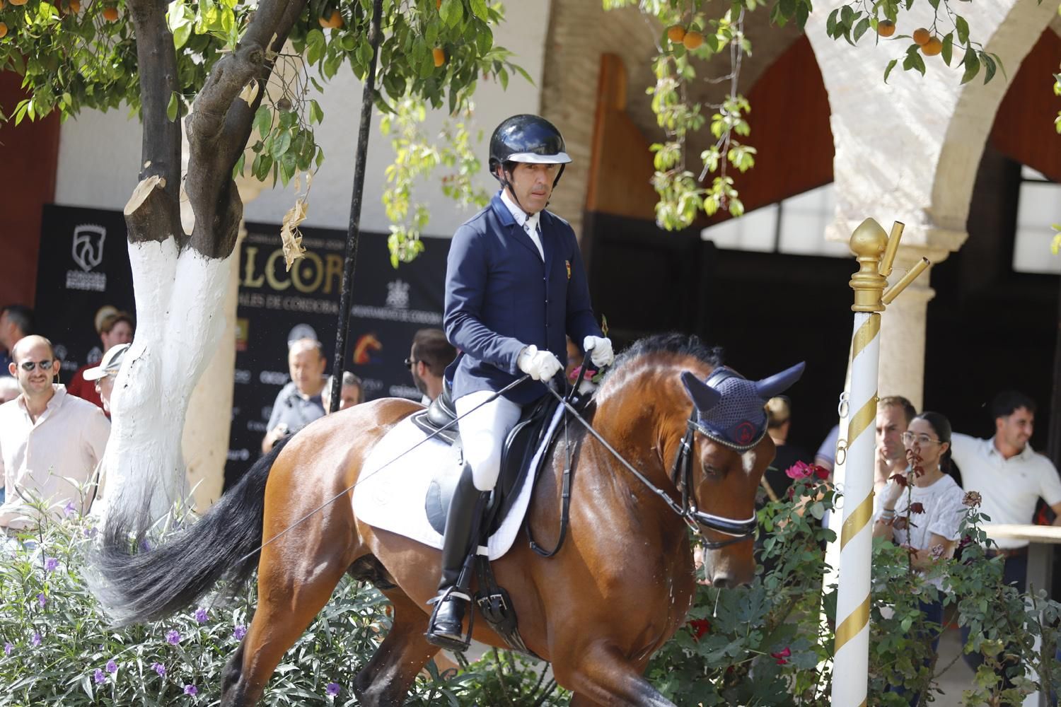 Campeonato de Europa del Caballo Lusitano