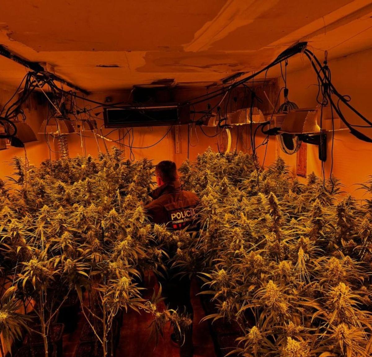 Catalunya es converteix en la porta d’entrada de la droga a Europa