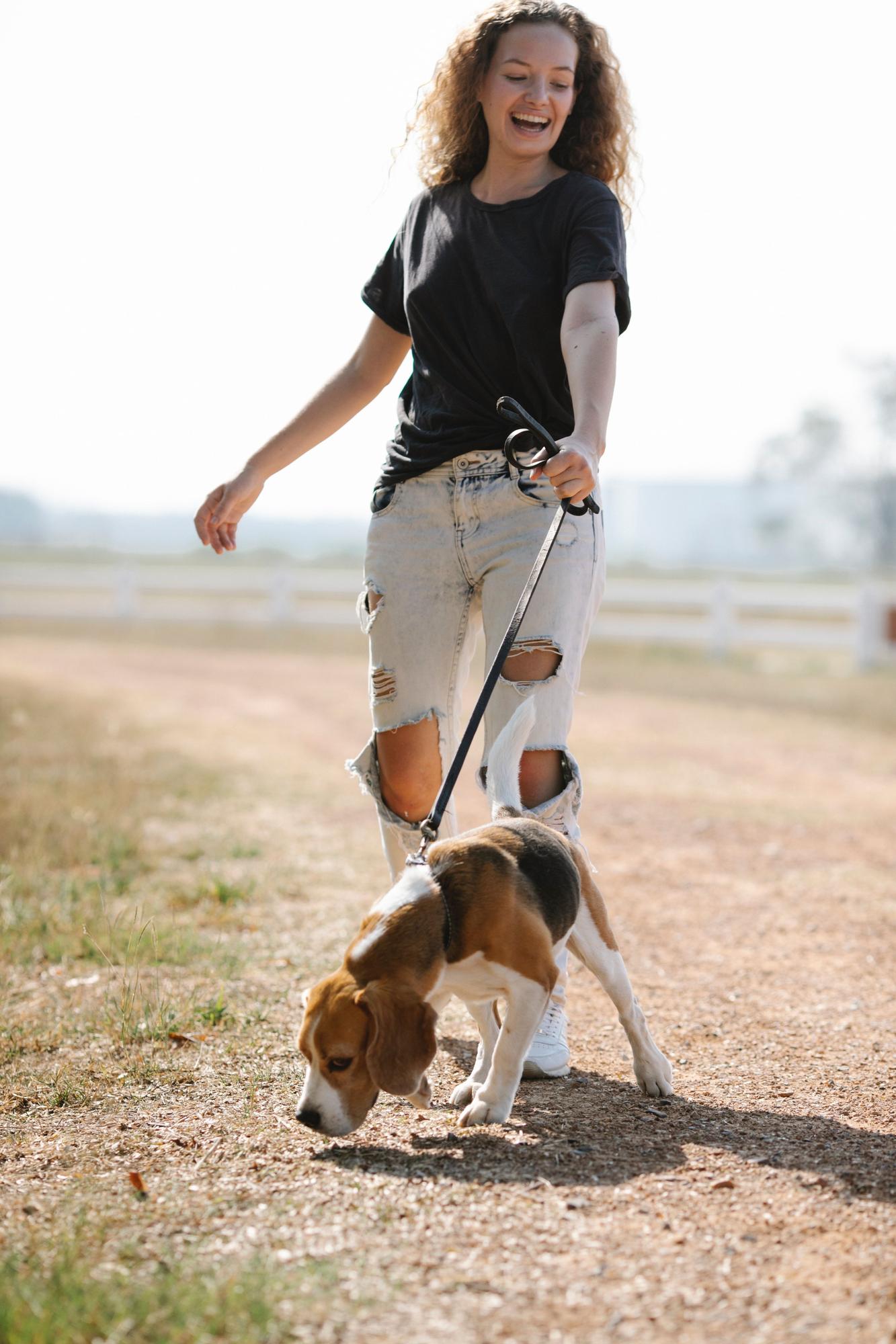 Existen varios trucos para hacer más llevadero el paseo a tu perro.