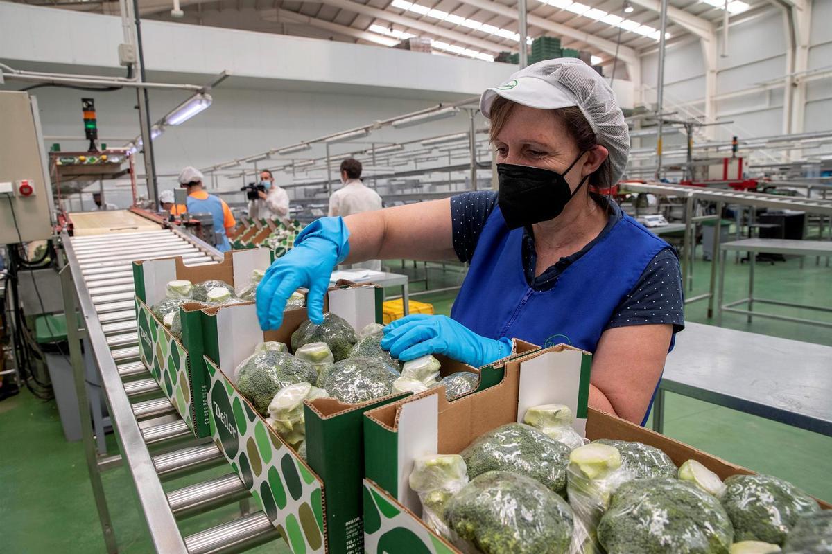 Trabajadora de la Cooperativa Agraria Deilor de Totana (Murcia).