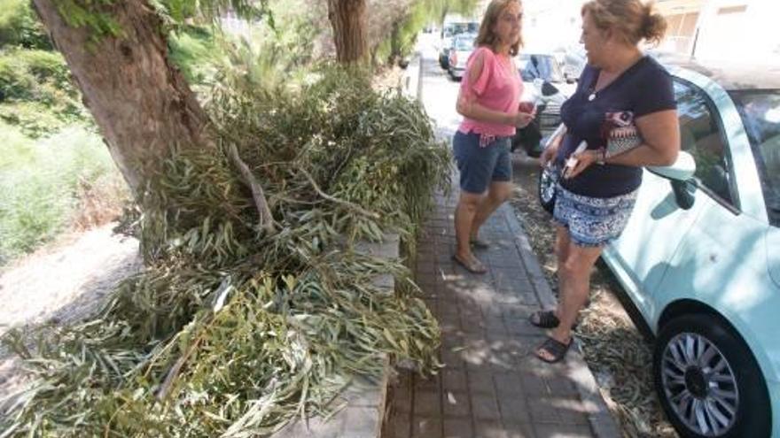 Ramas caídas en la calle en el barrio de San Gabriel, donde han estado varios días en el suelo.