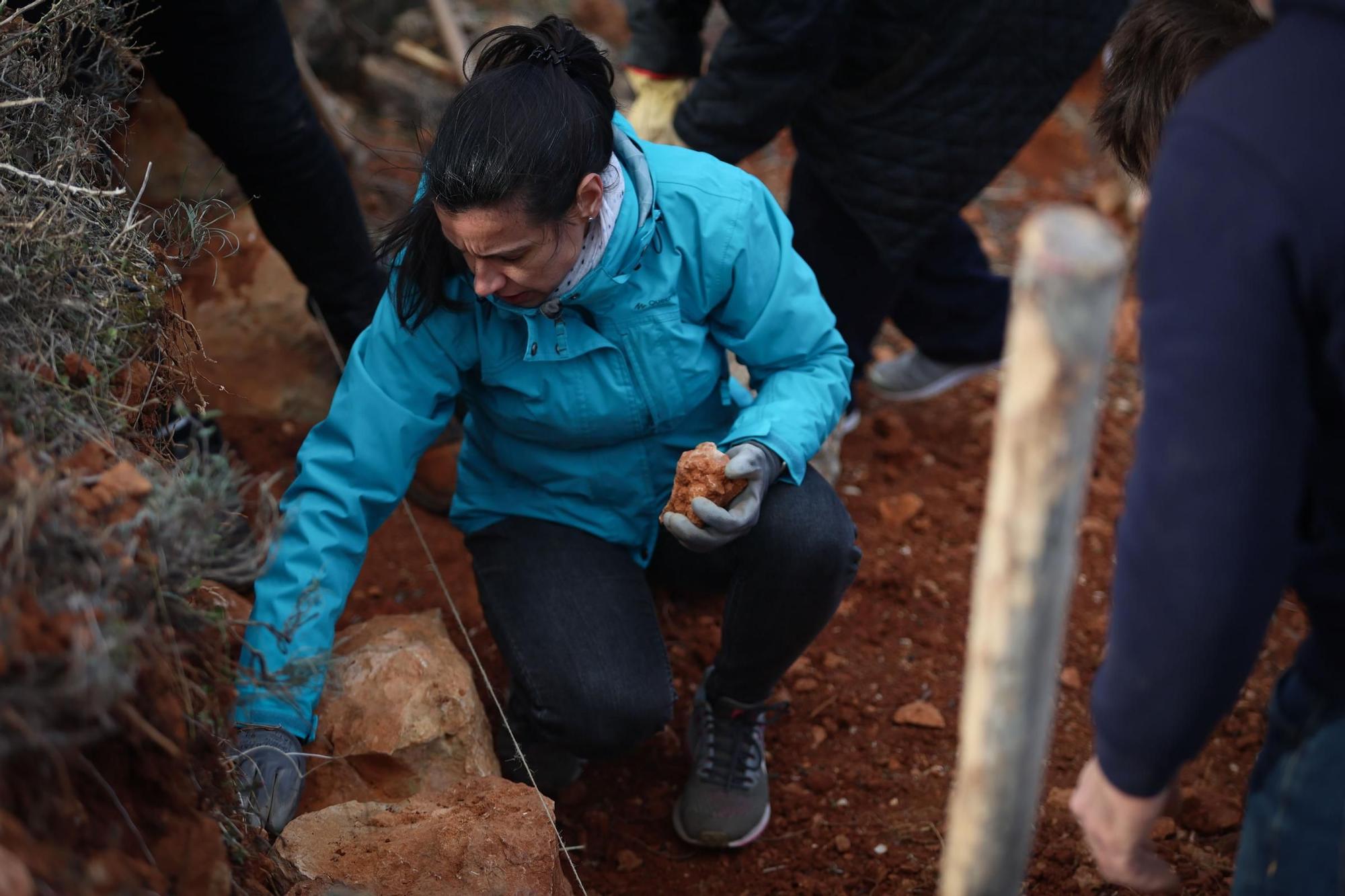 Galería: Reparación de la pared de piedra seca Joan d'en Micolau