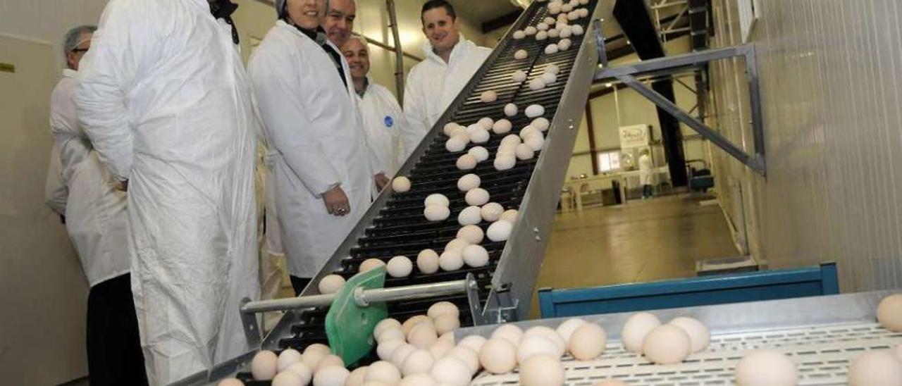 La conselleira de Medio Rural, Ángeles Vázquez, en la granja Agro Avícola 3, de O Sisto. // Bernabé/J.Lalín