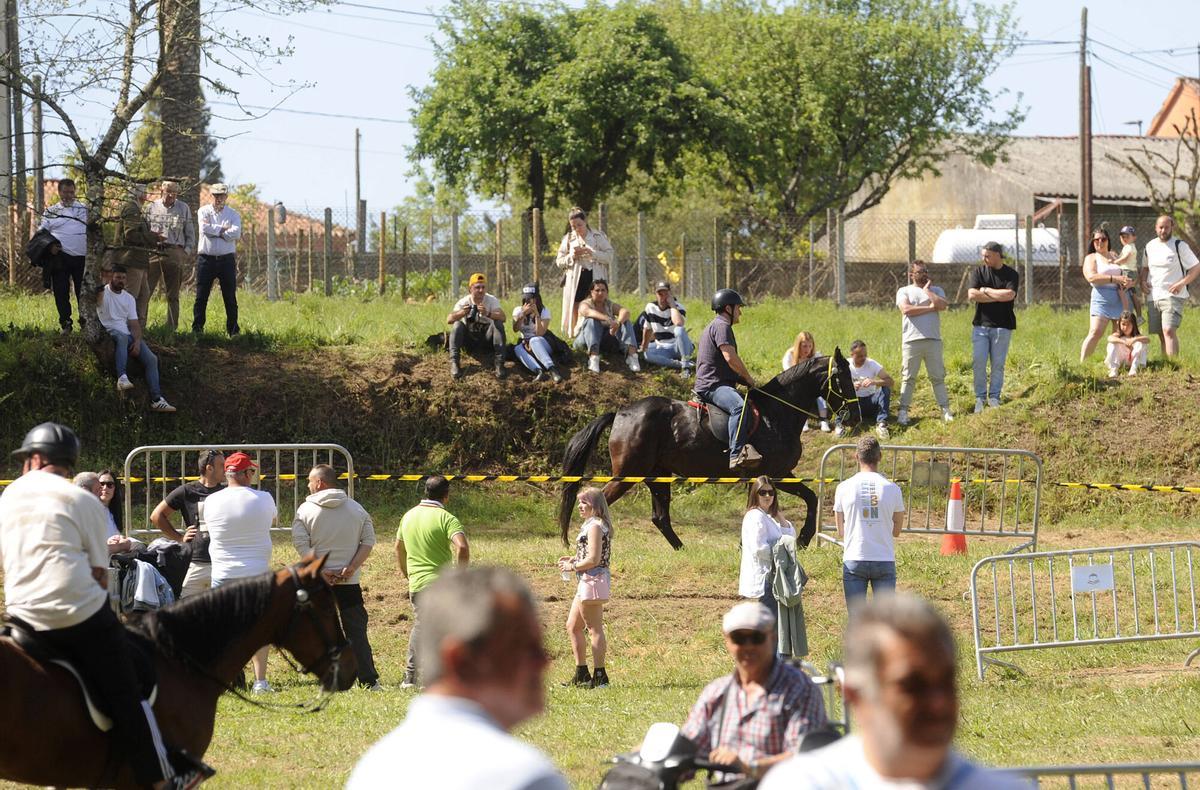 XXXVI Feira do Cabalo de Lalín, 2026