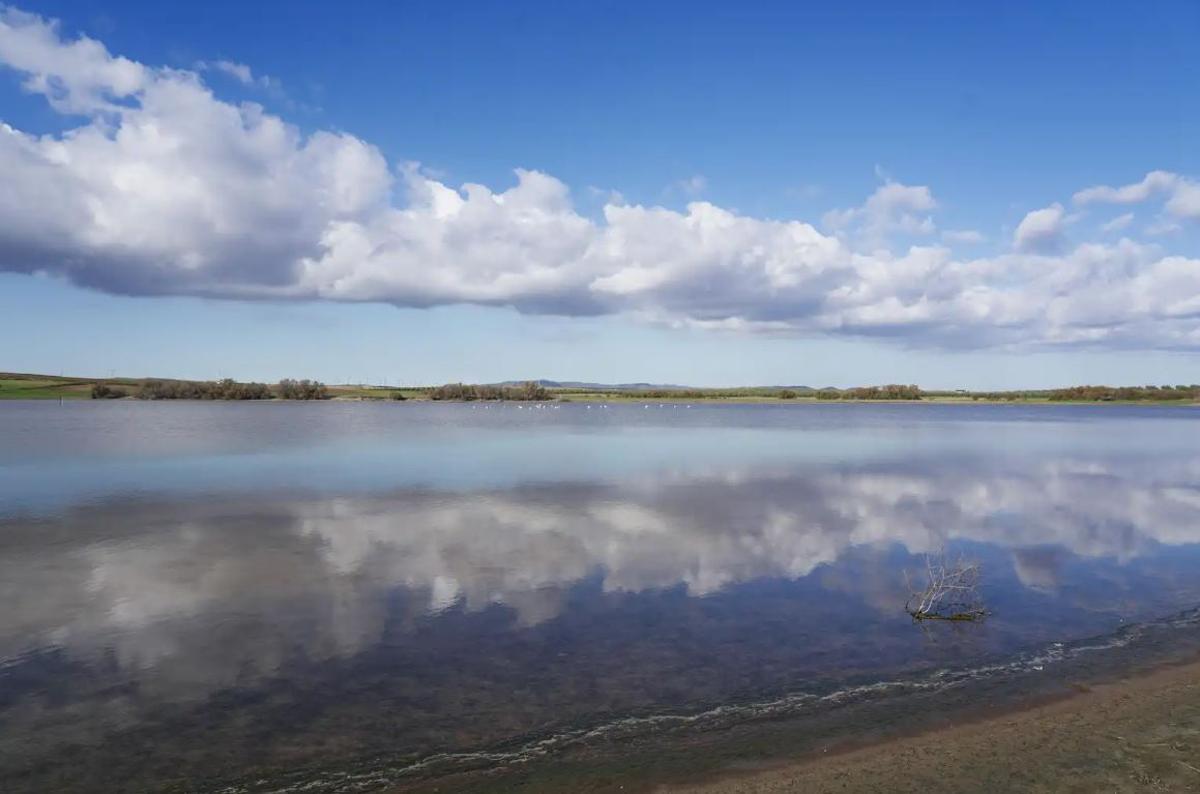 Reserva Natural Lagunas de Campillos