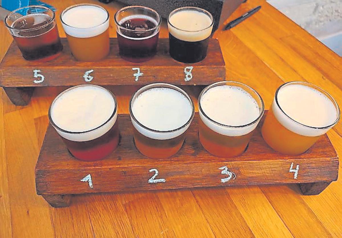Tast de cervezas.