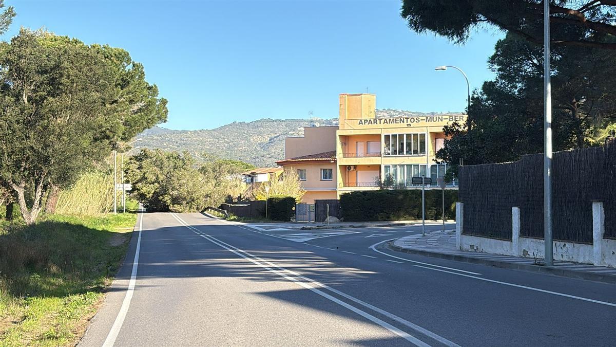 Els efectes de l'episodi de vent a Girona, en imatges