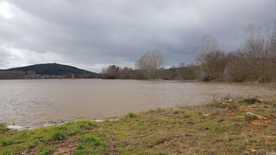 El río Eria, crecido a su paso por Fresno de la Polvorosa.