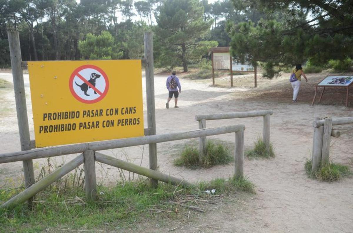 El vallado ha sido fundamental para proteger el parque. | // NOÉ PARGA