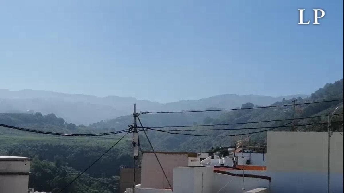 Cielos despejados y ligera calima este miércoles, 27 de enero, en Arucas