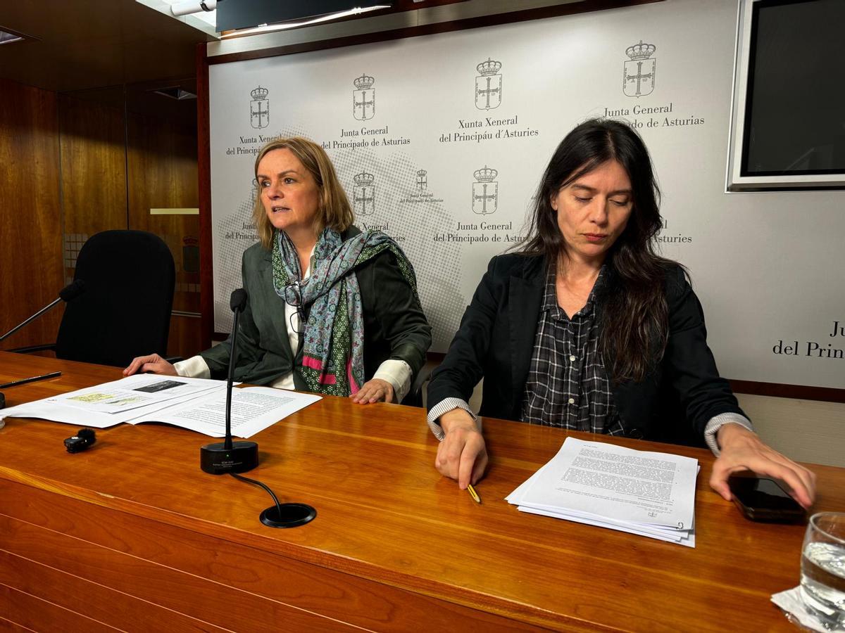 Covadonga Tomé y Laura Tuero (asesora), en la rueda de prensa.