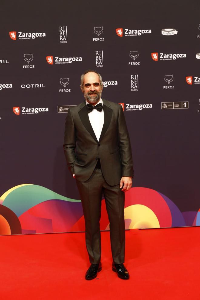 Las mejores imágenes de la alfombra roja de los Premios Feroz