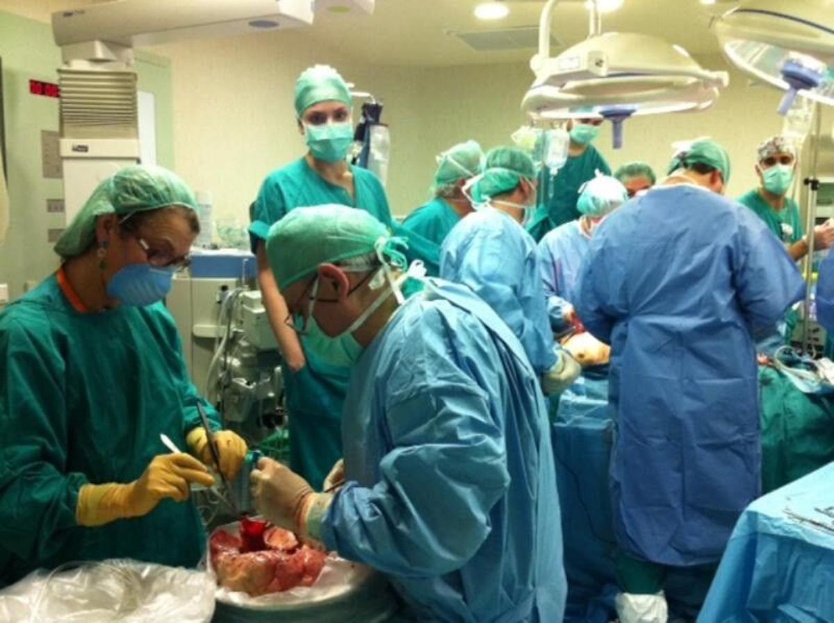 Madrid superó los 1.000 trasplantes de órganos en 2025 por segundo año consecutivo.