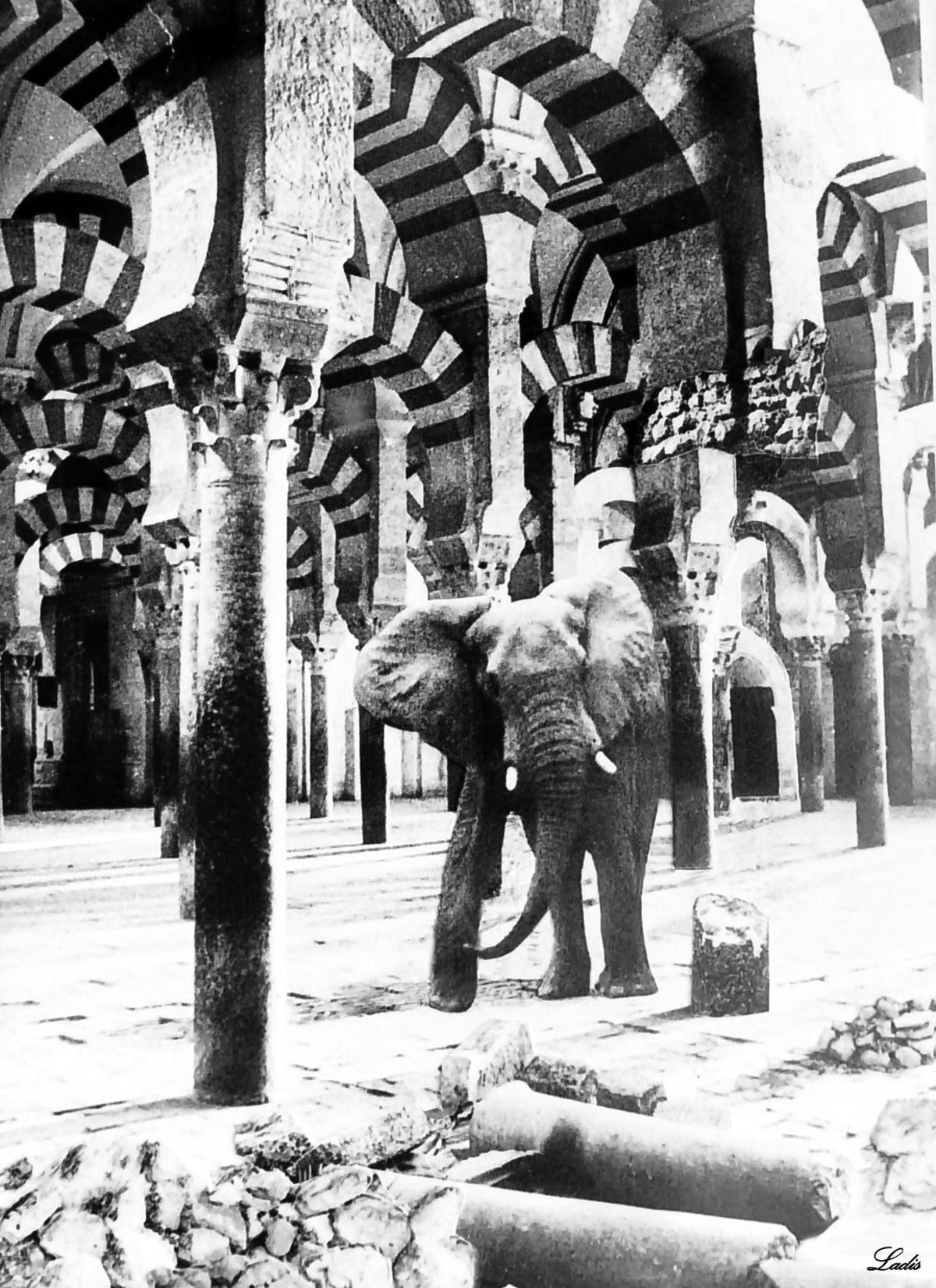 Un elefante arrasa el patio de columnas de la Mezquita de Córdoba, un montaje por el Día de los Inocentes.