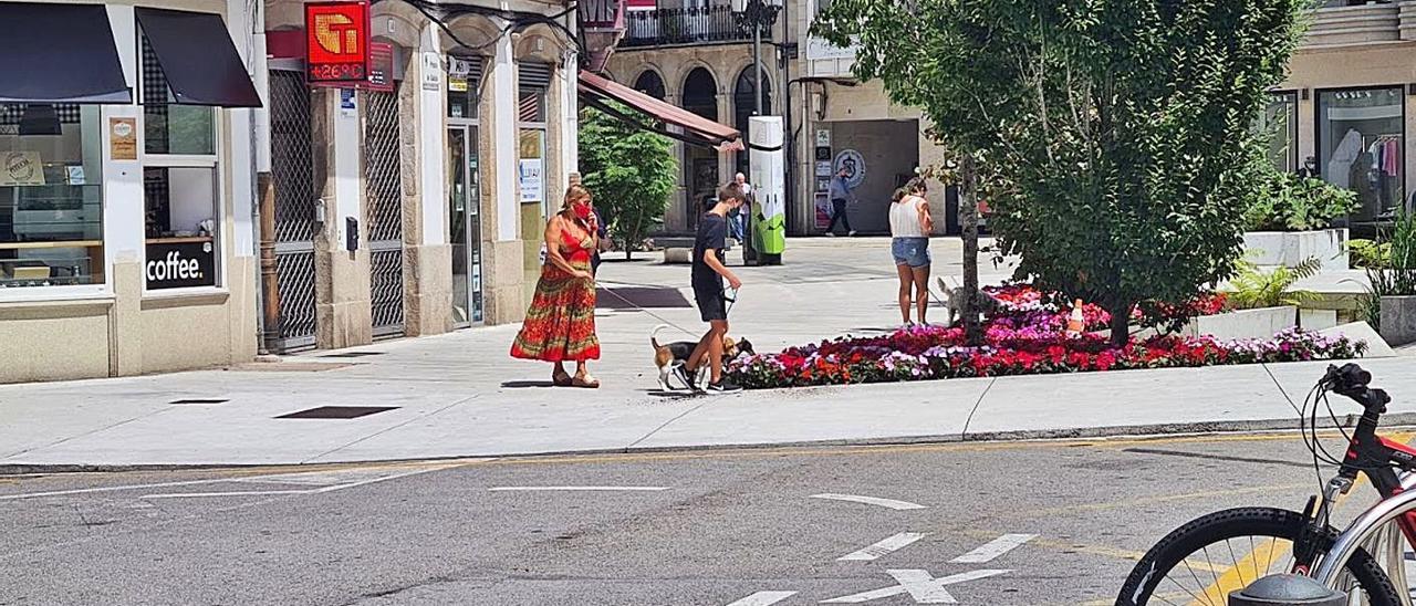 Dueños de perros que les impiden invadir el jardín, mientras que otros lo consienten.