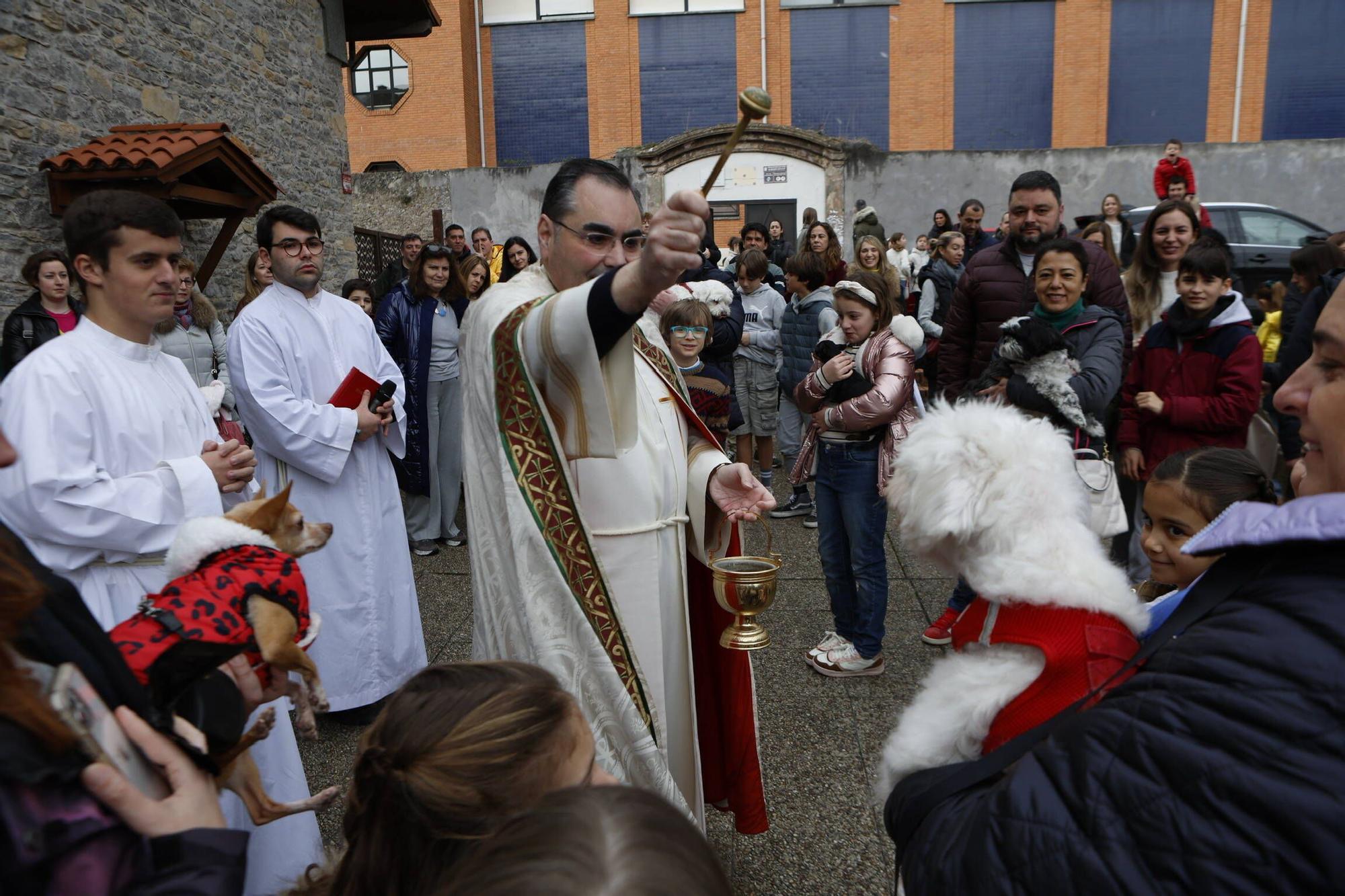 Bendición mascotas en Gijón en la parroquia de Viesques