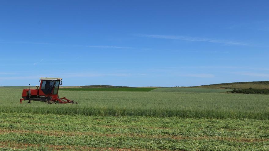 La resistencia del sector agroalimentario