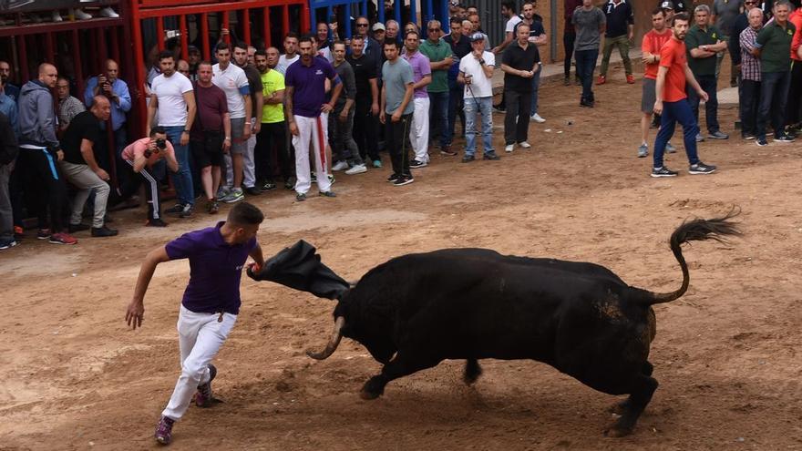 Los &#039;bous al carrer&#039; vuelven este mes de octubre