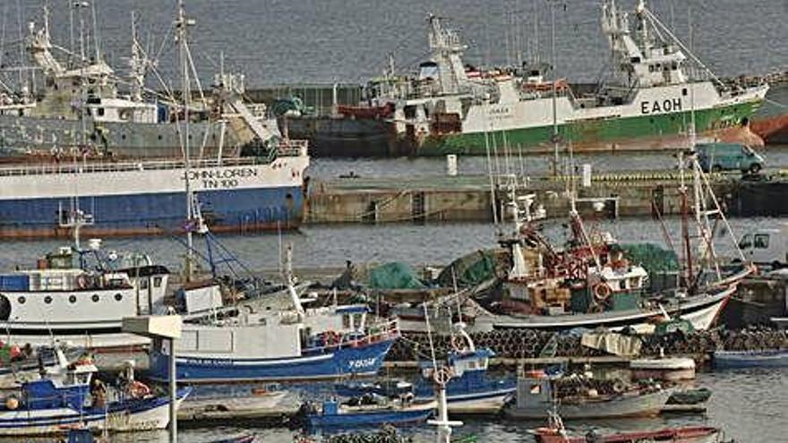 Flota amarrada en el muelle de Oza.