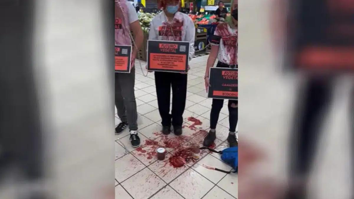 Un grupo de activistas se encadenan y tiran “sangre falsa” en un supermercado de Canarias