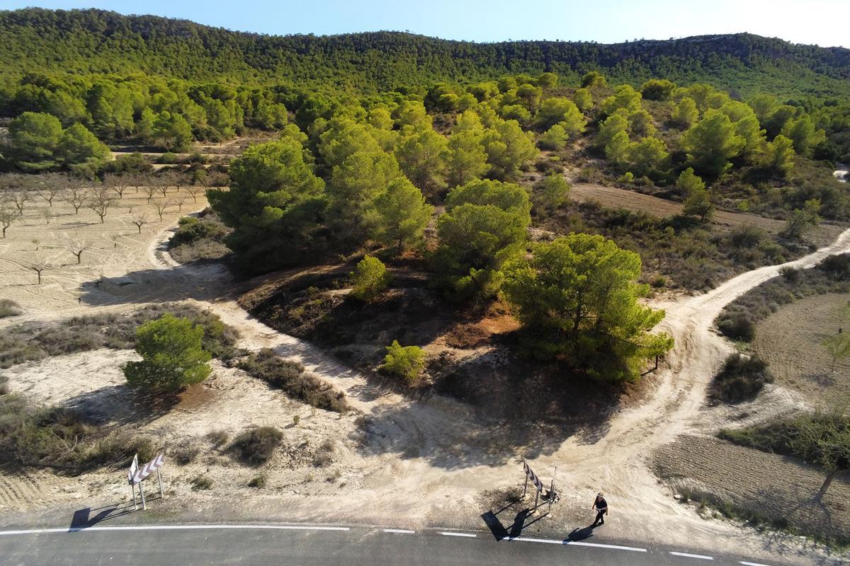 Masa forestal protegida de Sierra Escalona