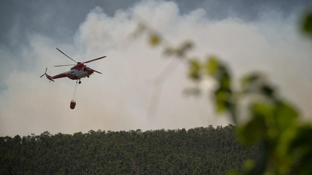 Incendio forestal en Arico