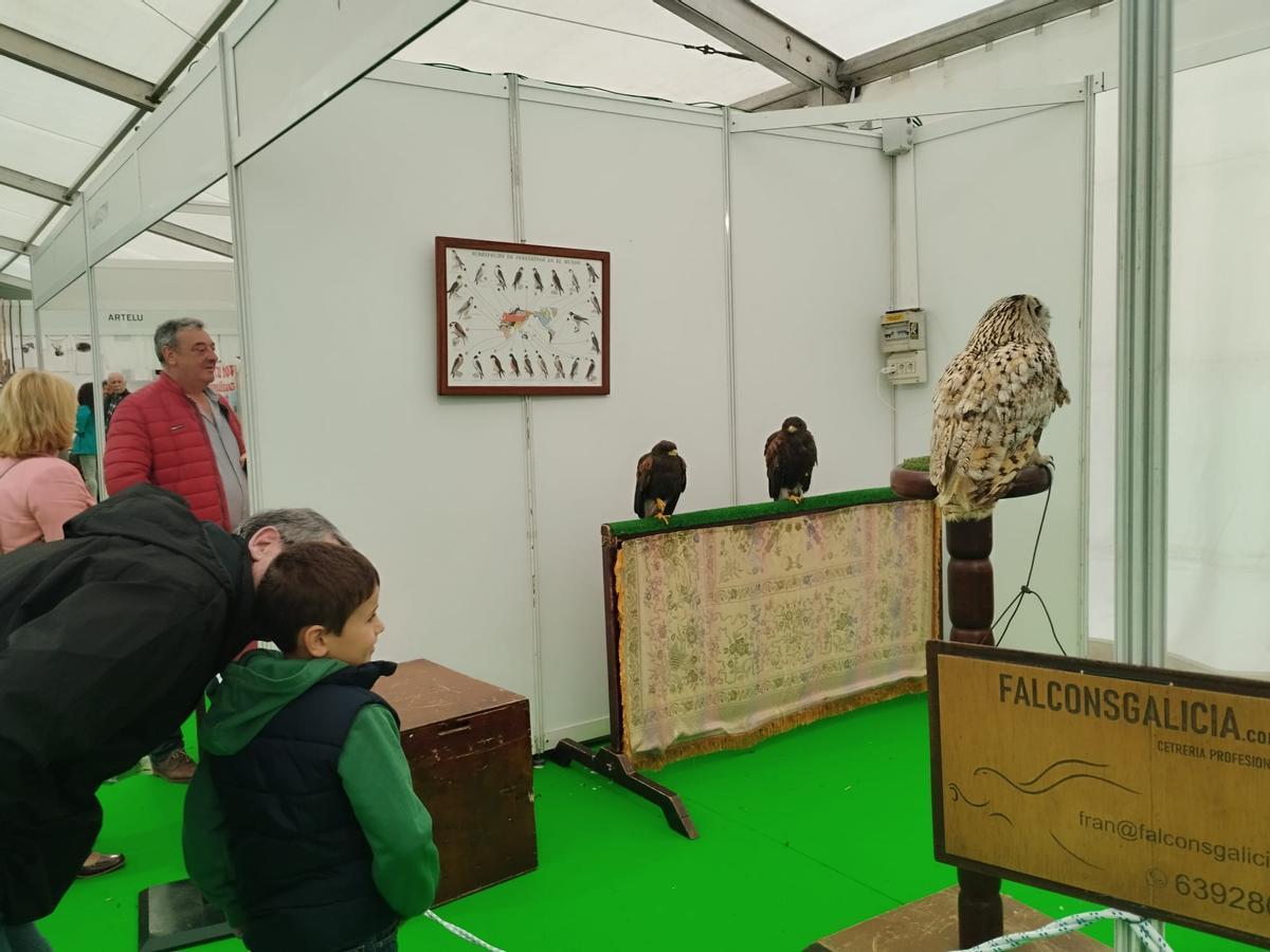 La jornada dominical de la Feria del Salmón de Cornellana (Salas), en imágenes