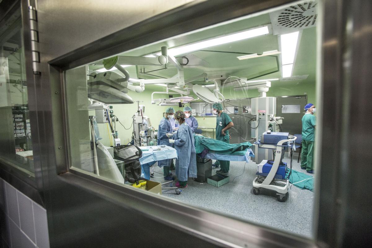 Un equipo de sanitarios realiza una intervención en los quirófanos del Hospital Doctor Balmis de Alicante.