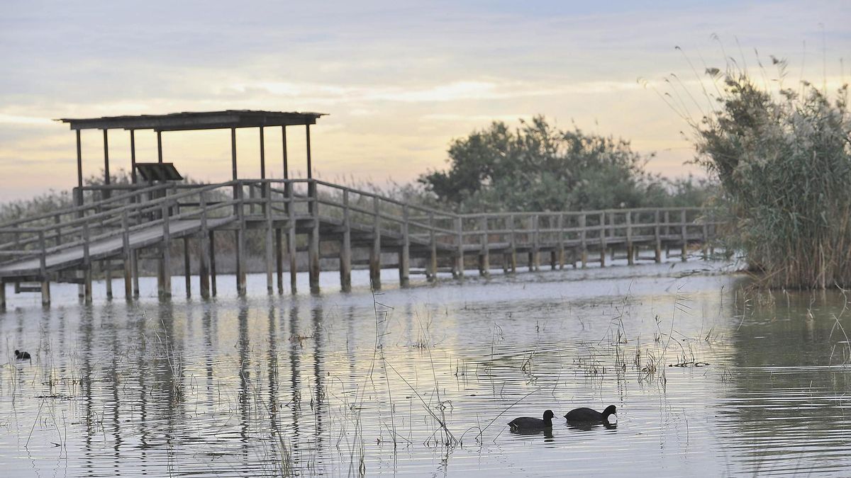Panorámica del Parque Natural El Hondo.