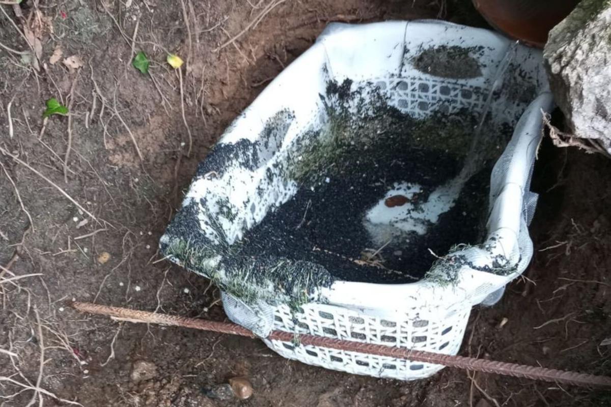 Un vertido de caucho alcanza al Jardín Botánico