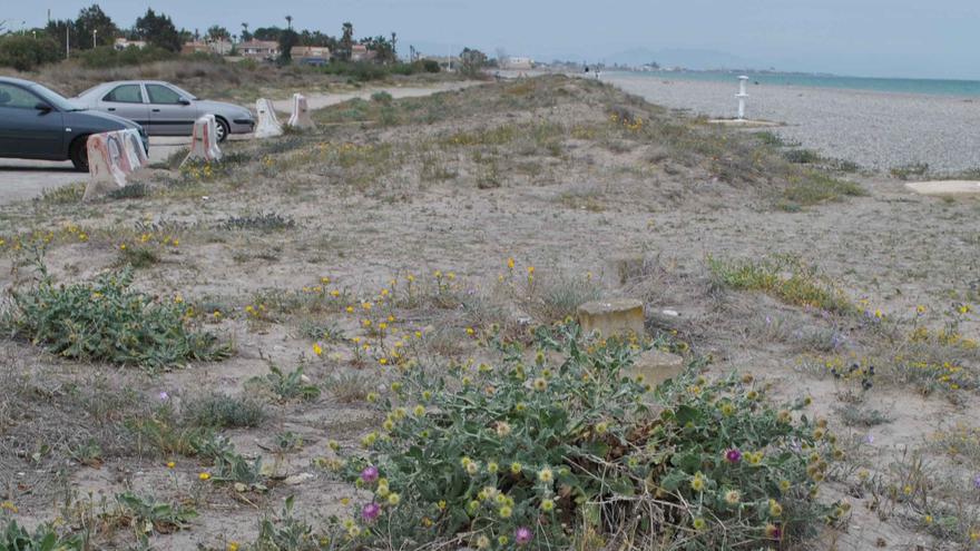 Identifican a presuntos okupas en apartamentos junto a la playa nudista de Almardà