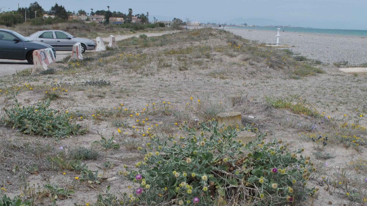 Imagen de archivo de la playa nudista de Almardà