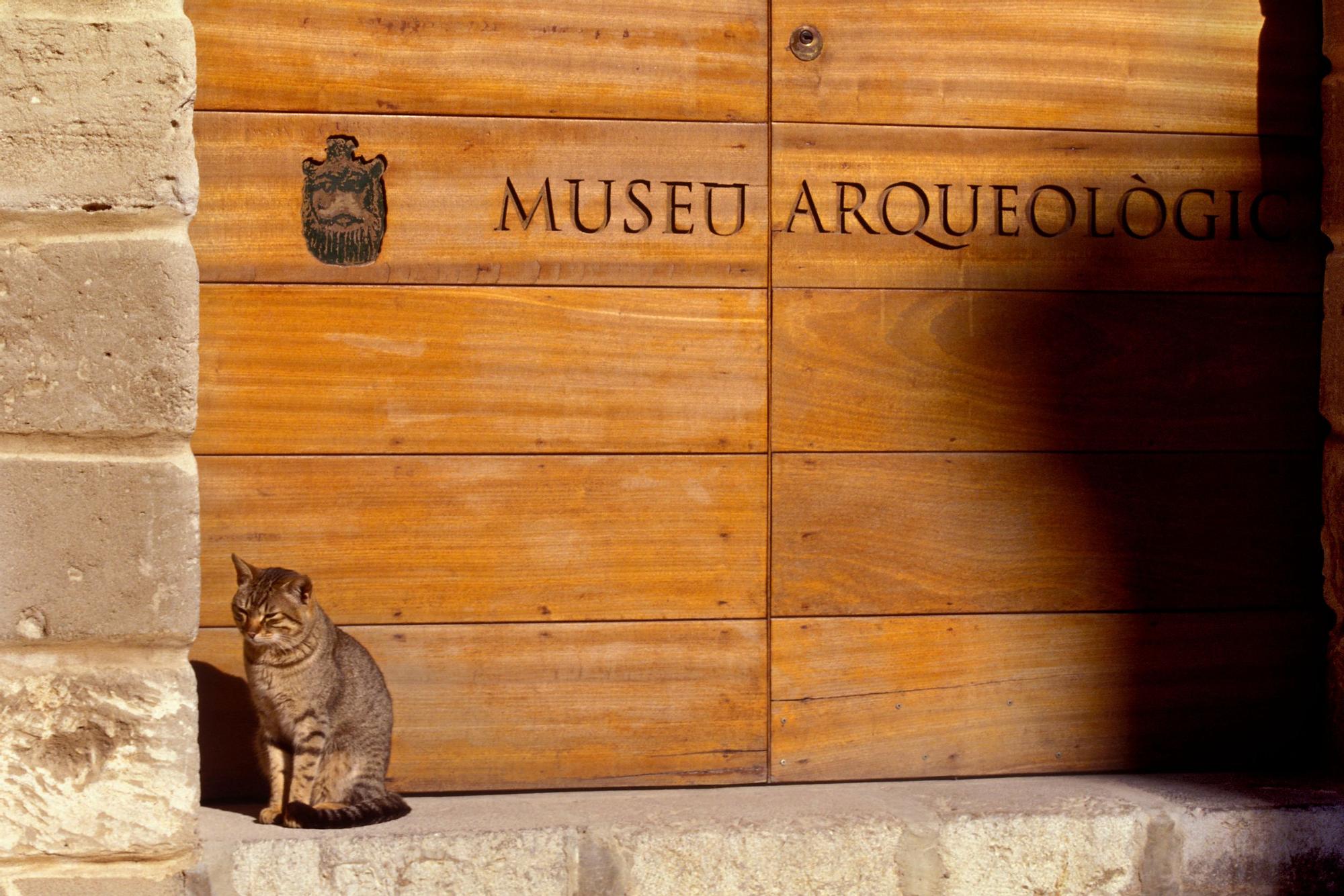 Un gato posando junto a la entrada del Museo Arqueológico de Dalt Vila