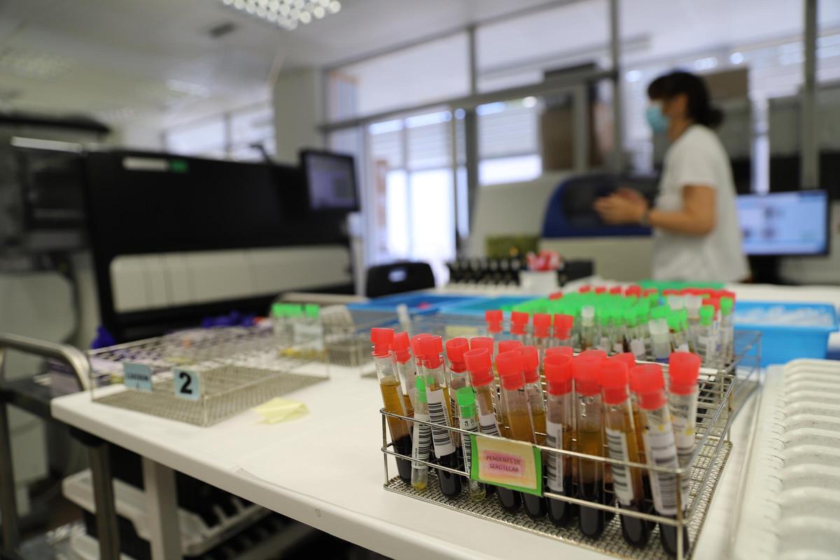 La apuesta por los antivirales hace que España esté a un paso de ser el primer país en eliminar la hepatitis C.