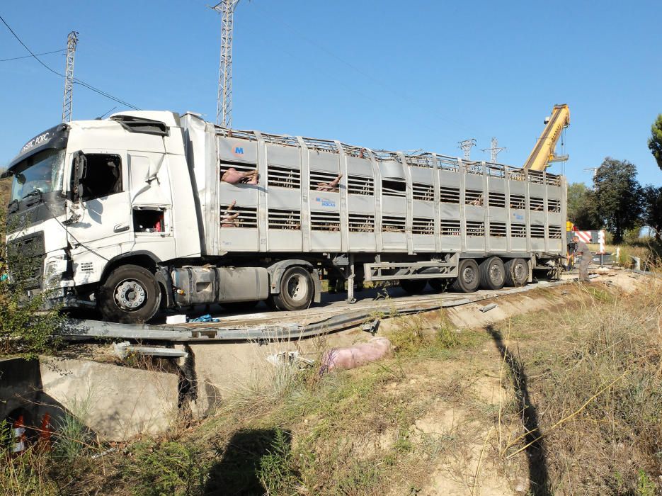 Bolca un camió carregat de porcs a Bàscara