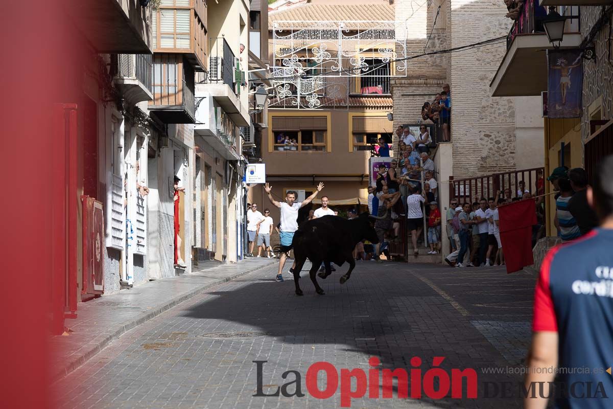 Séptimo encierro de las Fiestas de Moratalla