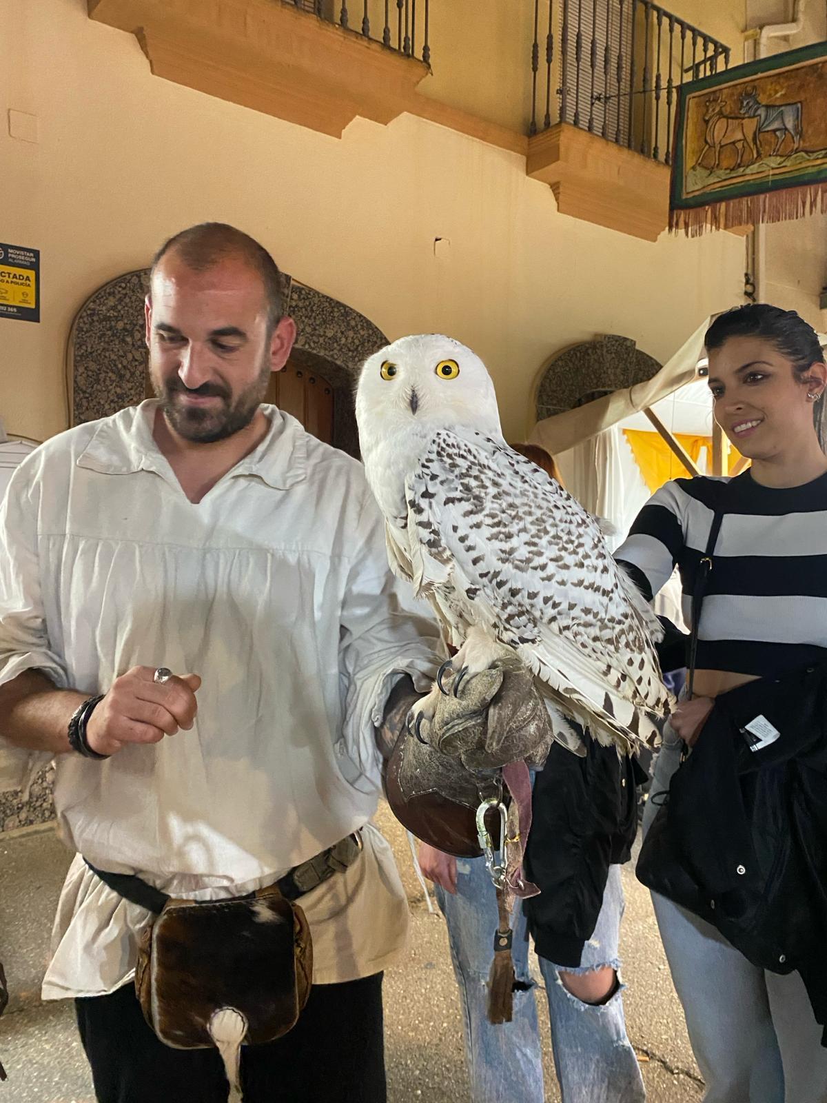 La cetrería es uno de los grandes atractivos del Mercado Medieval de Zorita.