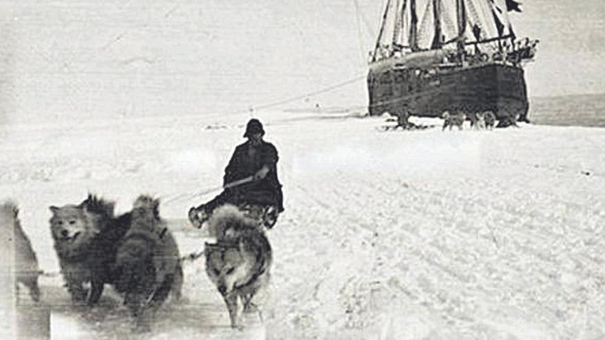 Roald Amundsen: El hombre del norte que conquistó el sur - Levante-EMV - Vimarsana News