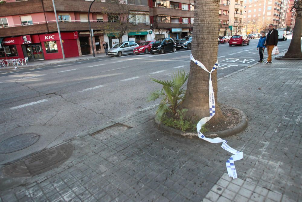 Fotos: Muere un motorista en un accidente de tráfico en Valencia