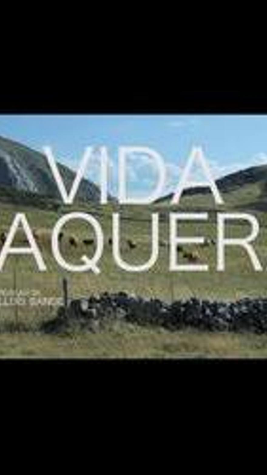 Vida vaquera