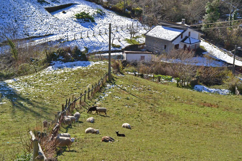 Un recorrido por las foces del río Aller