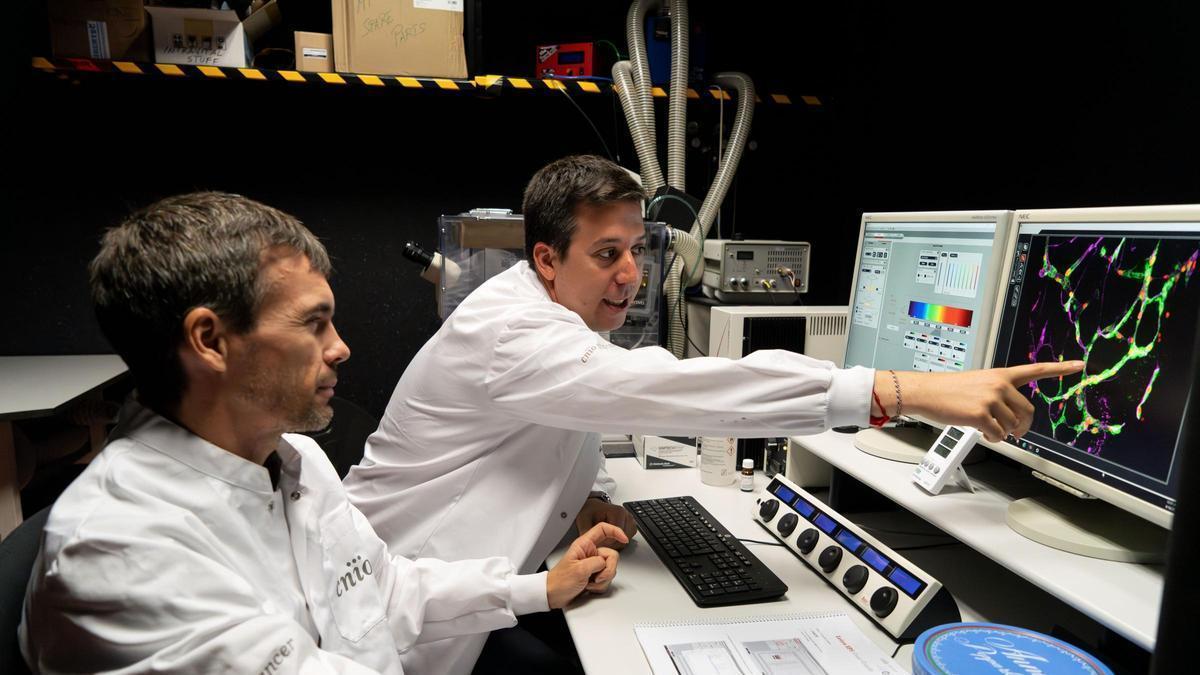 Los investigadores del CNIO