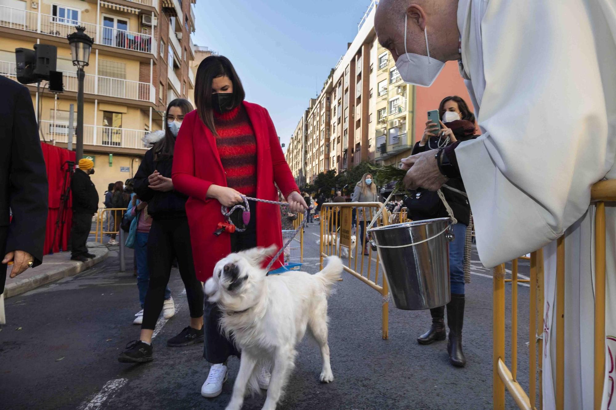 Búscate en la bendición de animales de Sant Antoni