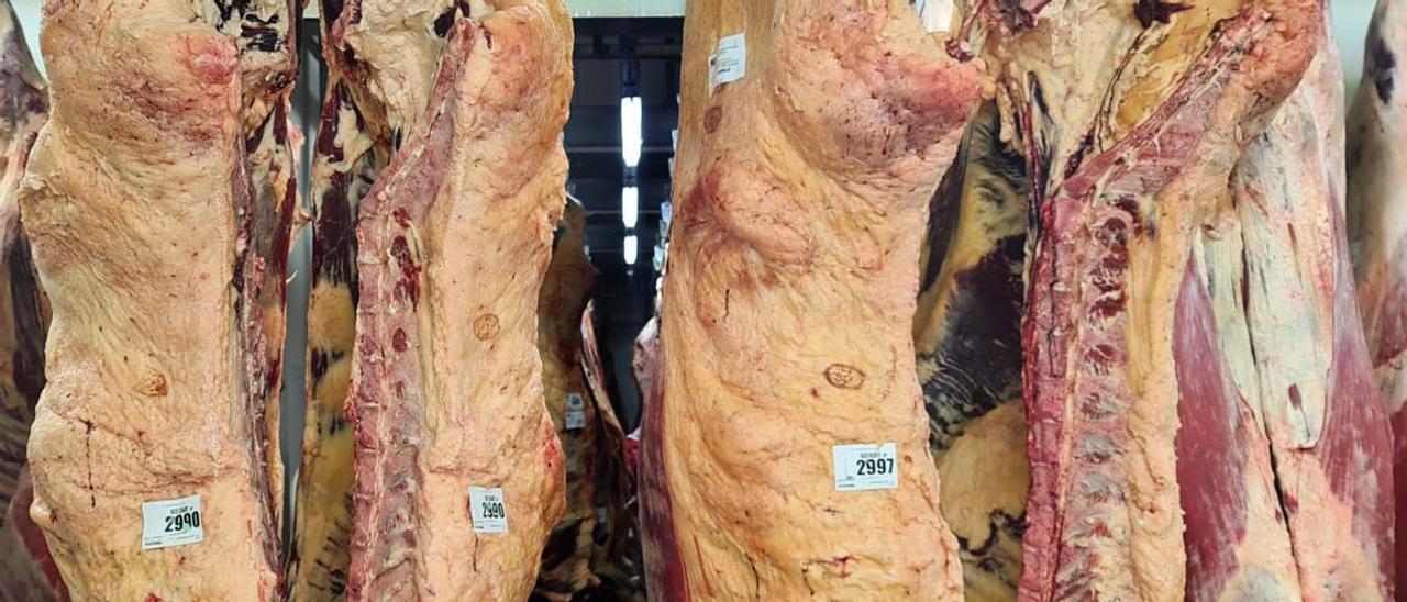 Canales de las reses, sacrificadas en un matadero de Portugal.
